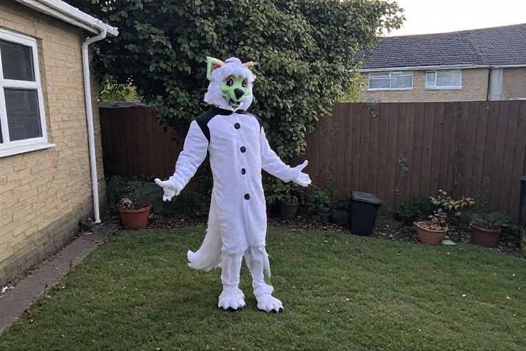 Illustrative photo of a white wolf fursuit in a backyard